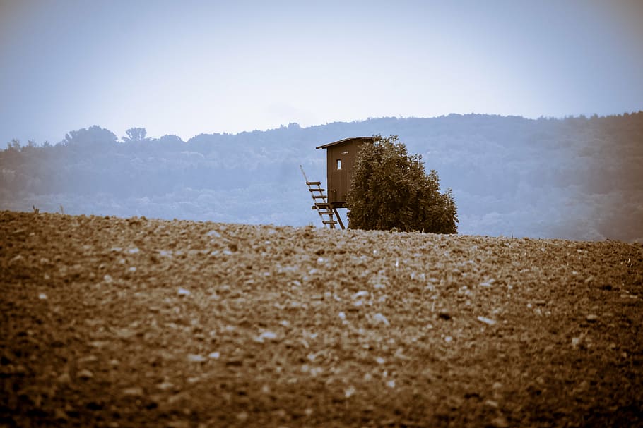 perch, hunting, hunter, field, arable, delight, hunter seat HD wallpaper