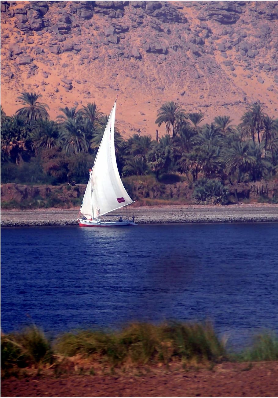 Dhow, Sailing Vessel, Nile River, River, Boat, traditional, HD wallpaper