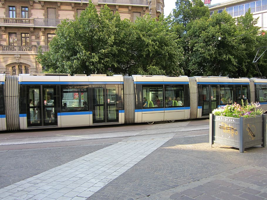 Trolley, Midday, Grenoble, tree, public transportation, city HD wallpaper