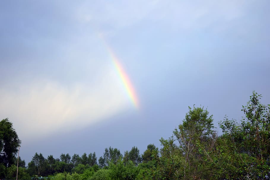 rainbow, colorful, dark cloud, trees, plant, sky, beauty in nature HD wallpaper