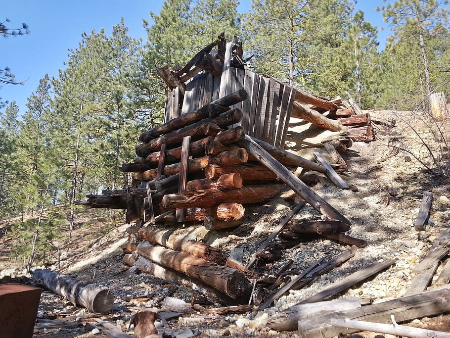 chute, okanagon, mining, logs, forest, tailings, tree, plant HD wallpaper