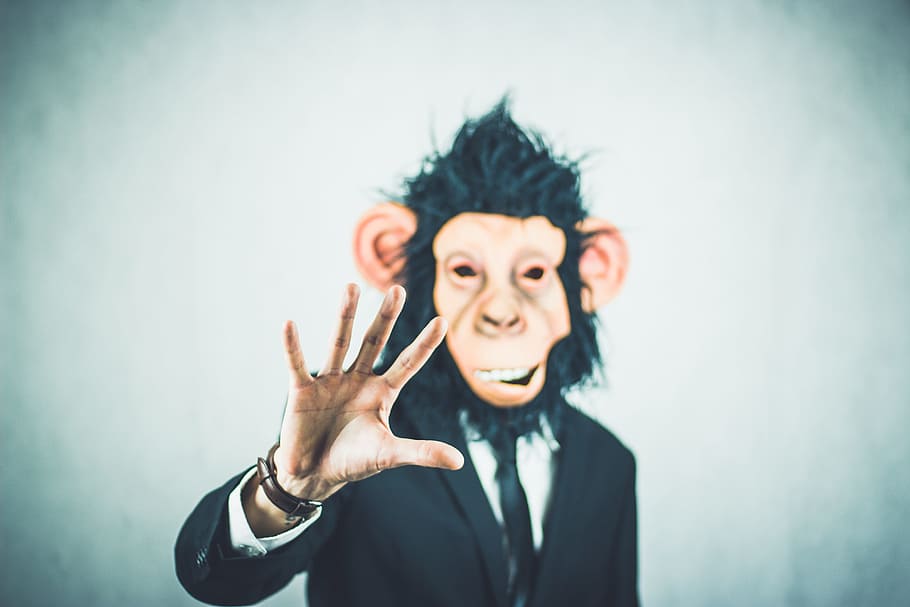 man wearing black suit and monkey mask, application, training, HD wallpaper