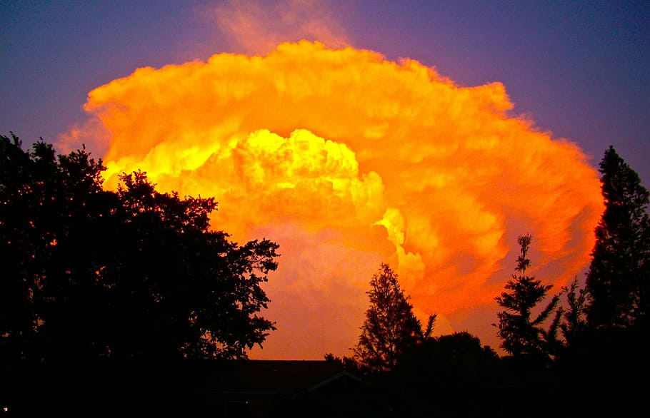 silhouette of trees under orange clouds, fire, sunset, sky HD wallpaper