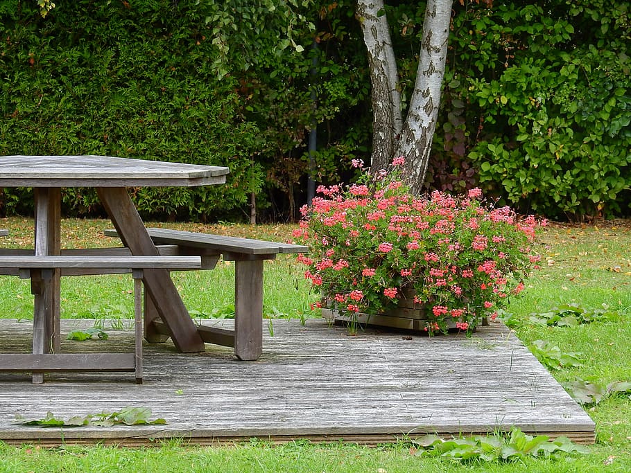 table, flowers, resting place, wood, wooden table, wooden bench, HD wallpaper