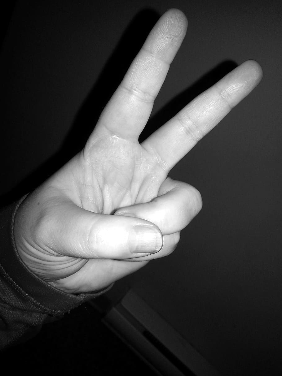 Peace, Finger, Sign Language, finger sign, fingers, human Hand, HD wallpaper