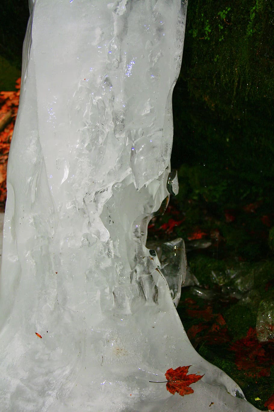 ice, waterfall, winter, nature, frozen, falls, close-up, plant HD wallpaper
