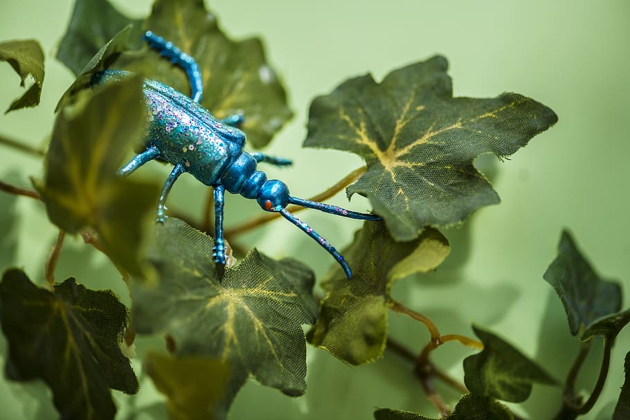 art, artificial, background, bright, bug, bugs, close up, close-up HD wallpaper