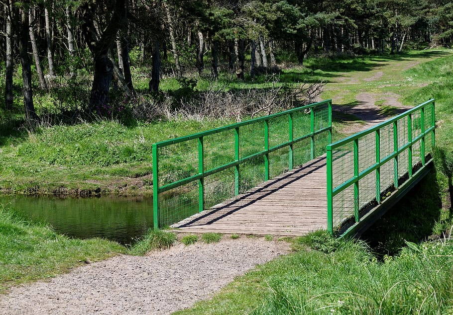 Bridge, River, Trees, Wood, Nature, forest, natural, green HD wallpaper