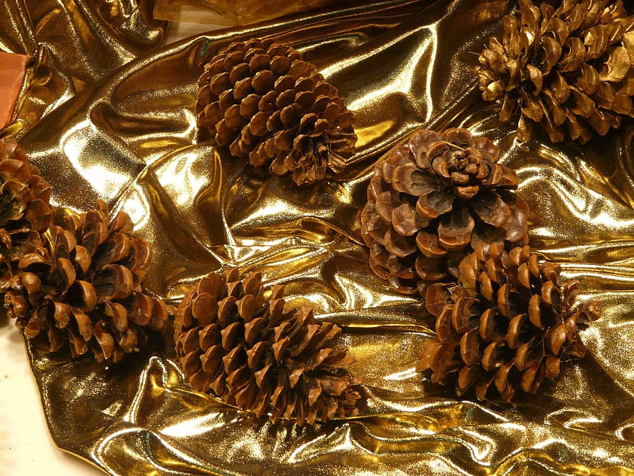 pine cones, decoration, christmas, window, cloth, golden, shine HD wallpaper