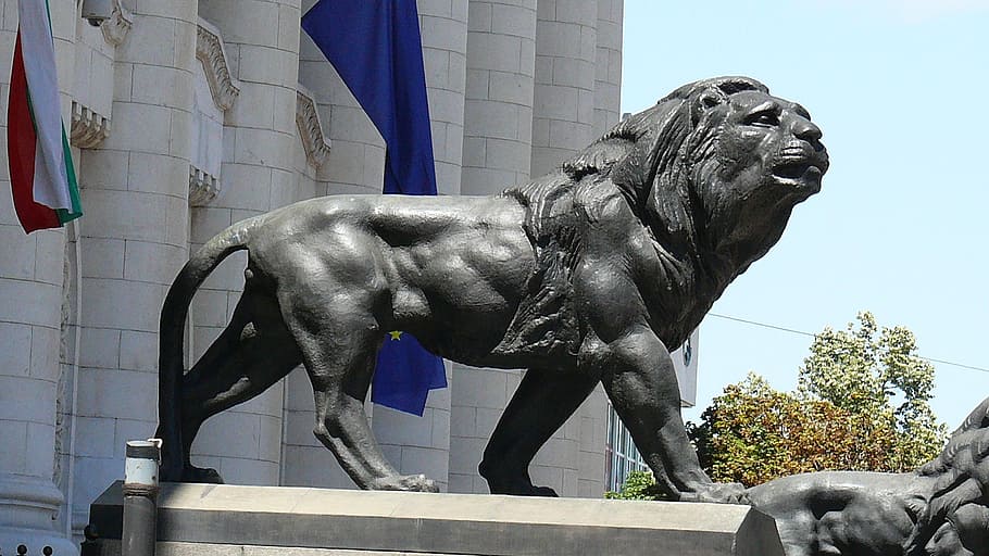 lion, statue, sofia, courthouse in sofia, sculpture, art and craft HD wallpaper