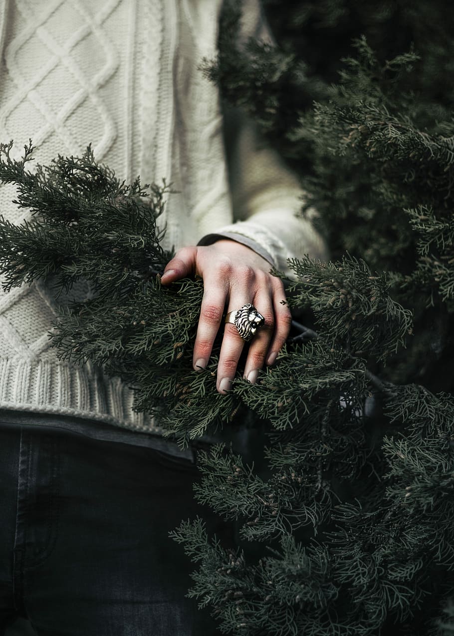closeup photo of person standing beside green Christmas tree, person holding green pine tree HD wallpaper