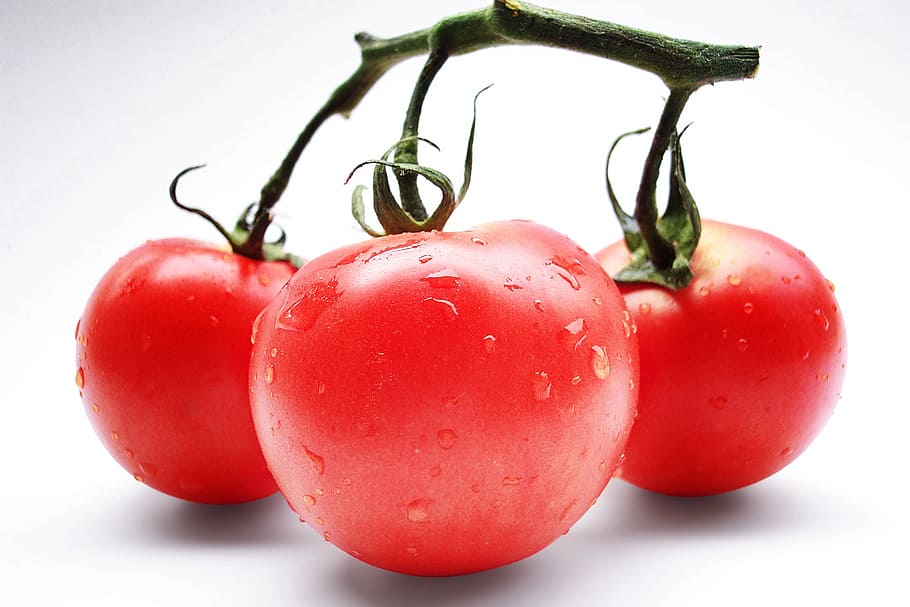 close-up photo of red tomato, tomatoes, vegetables, vitamins HD wallpaper