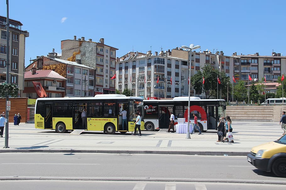 sivas, bus, promotion, city, street, architecture, building exterior HD wallpaper