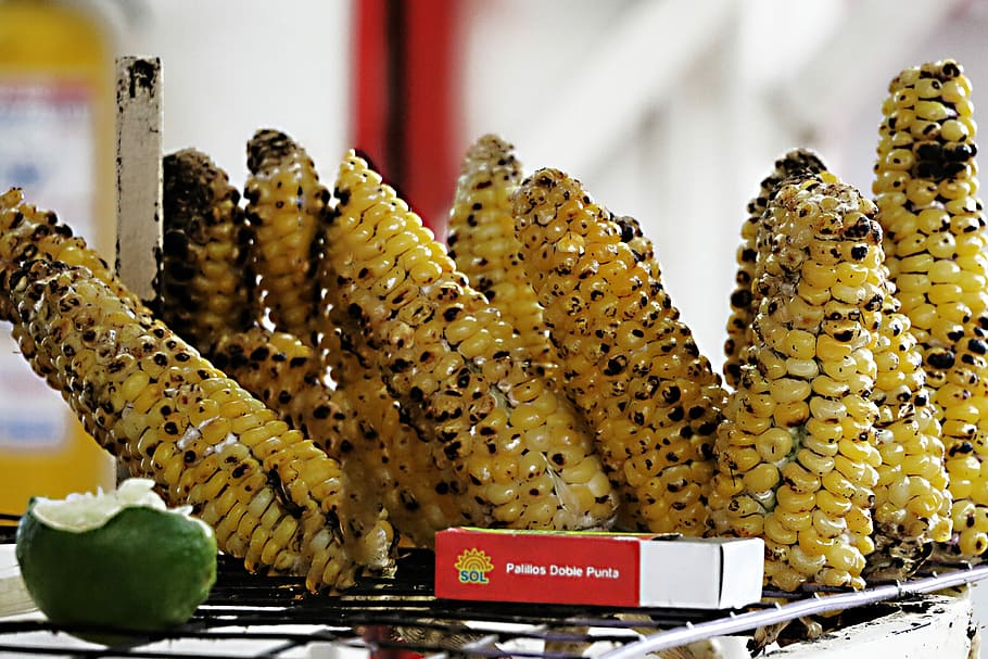 The way they eat, grilled corn dish, sweetcorn, roasted, bbq HD wallpaper