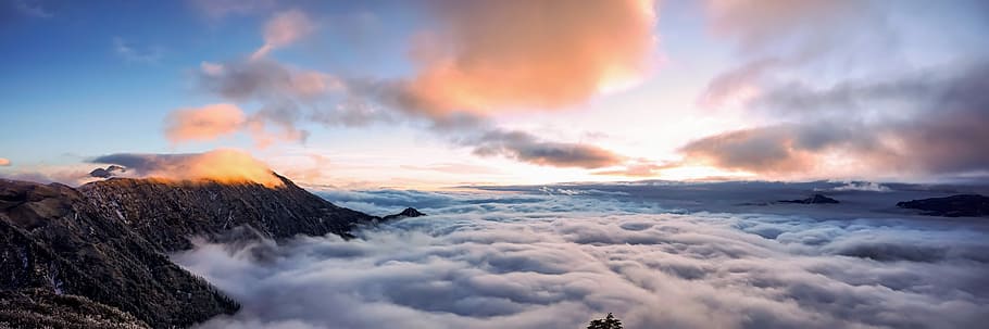 aerial photography of mountain and clouds at daytime, tree HD wallpaper