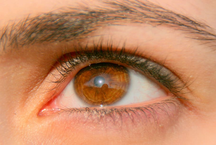 Eye, Brown, Girl, Iris, coloring, human eye, eyesight, human body part HD wallpaper
