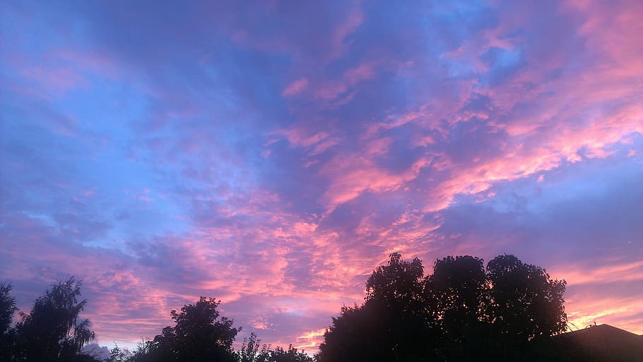 sunset, clouds, sky, skies, blue, tree, cloud - sky, beauty in nature HD wallpaper