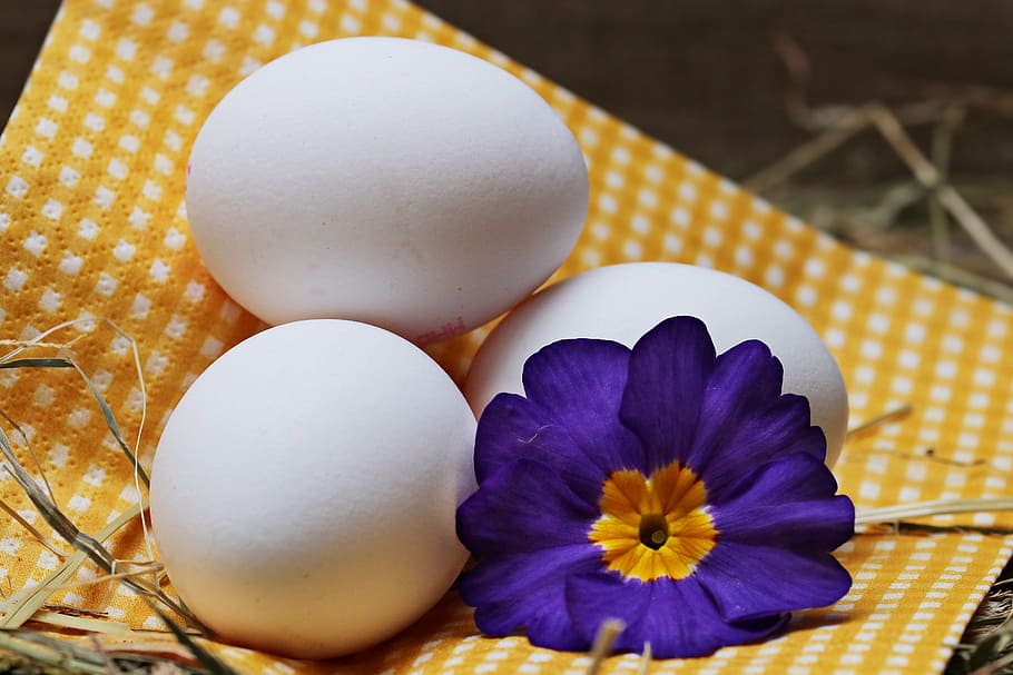 three white eggs on yellow and white checkered textile, straw HD wallpaper