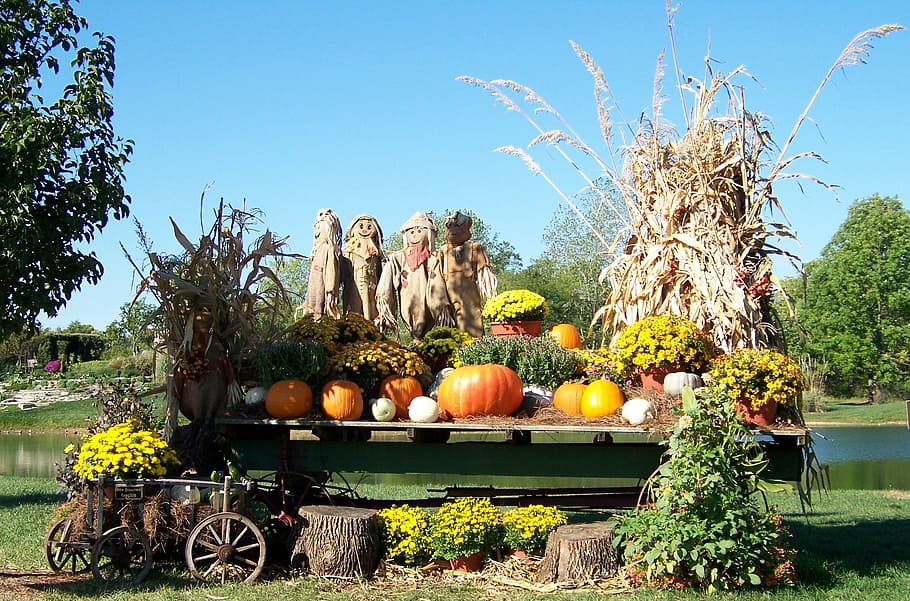 pumpkins on trailer near body of water, Autumn, Fall, Pond HD wallpaper
