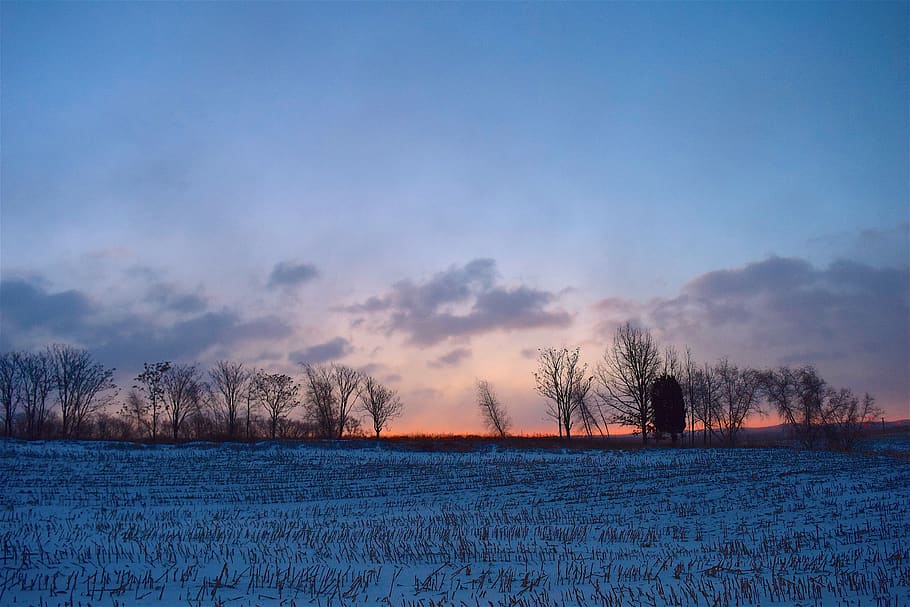 sunrise, winter, field, snow, trees, clouds, sky, colorful HD wallpaper