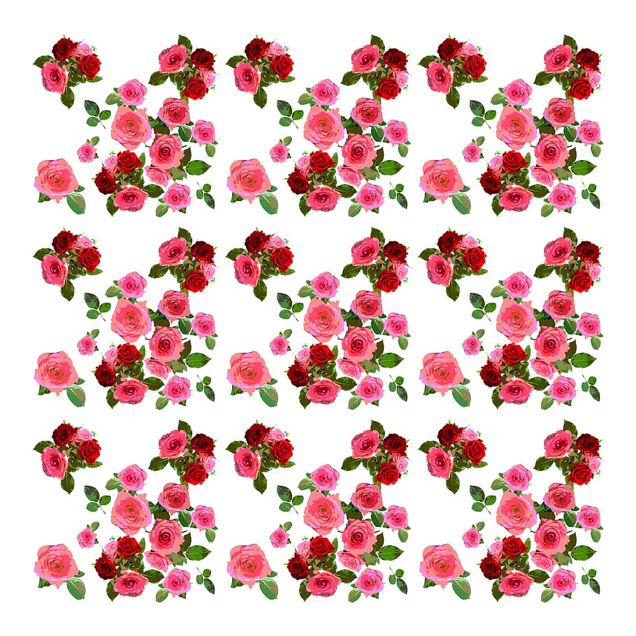 Roses, Background, Image, rose pattern, background image, flowers HD wallpaper