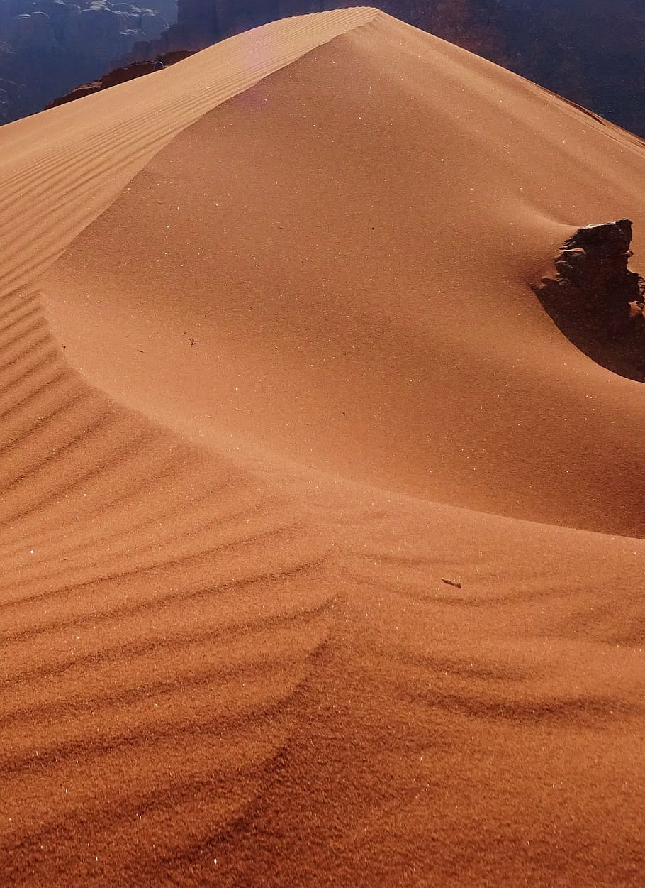 sand, desert, dune, jordan, sand dune, land, arid climate, landscape HD wallpaper