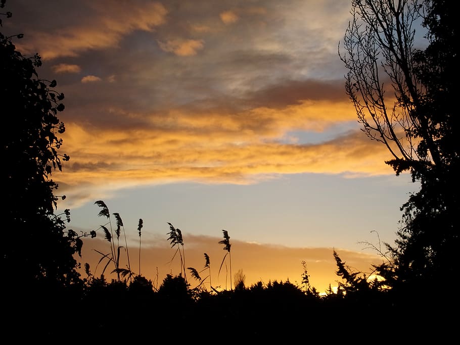 sunset, twilight, evening, sky, landscape, shadow, clouds, nature HD wallpaper