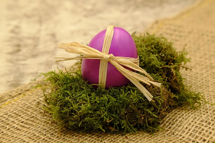 pink Easter egg, easter celebration, give, gift, easter greetings HD wallpaper