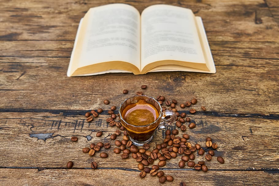 coffee, book, cup, read, study, the work, hot, morning, comfortable HD wallpaper