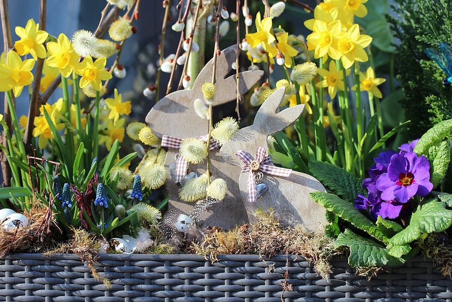 pussy willow, daffodil, anemone flower arrangement, Easter HD wallpaper