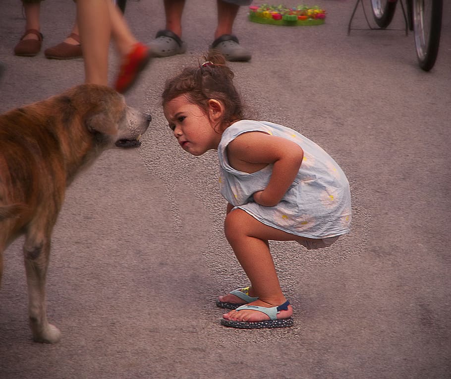 girl in blue sleeveless dress beside brown dog, child, cute, kid
