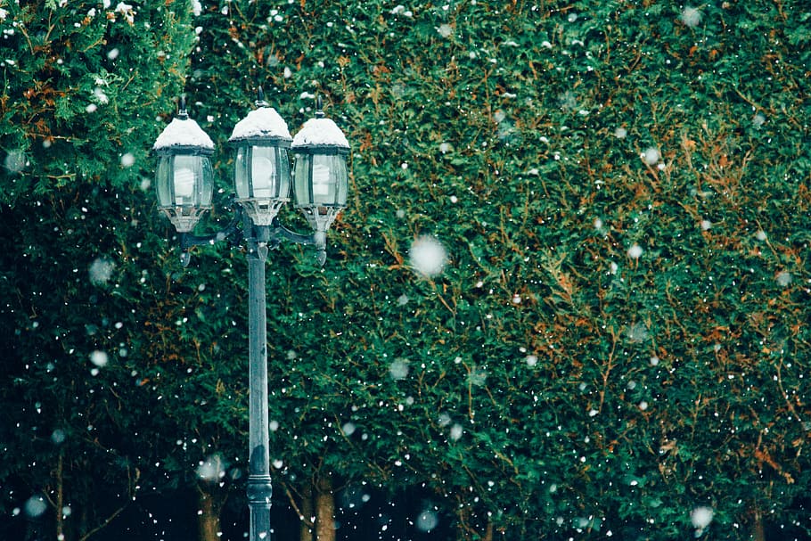 light post standing near green leafed tree, garden light post HD wallpaper