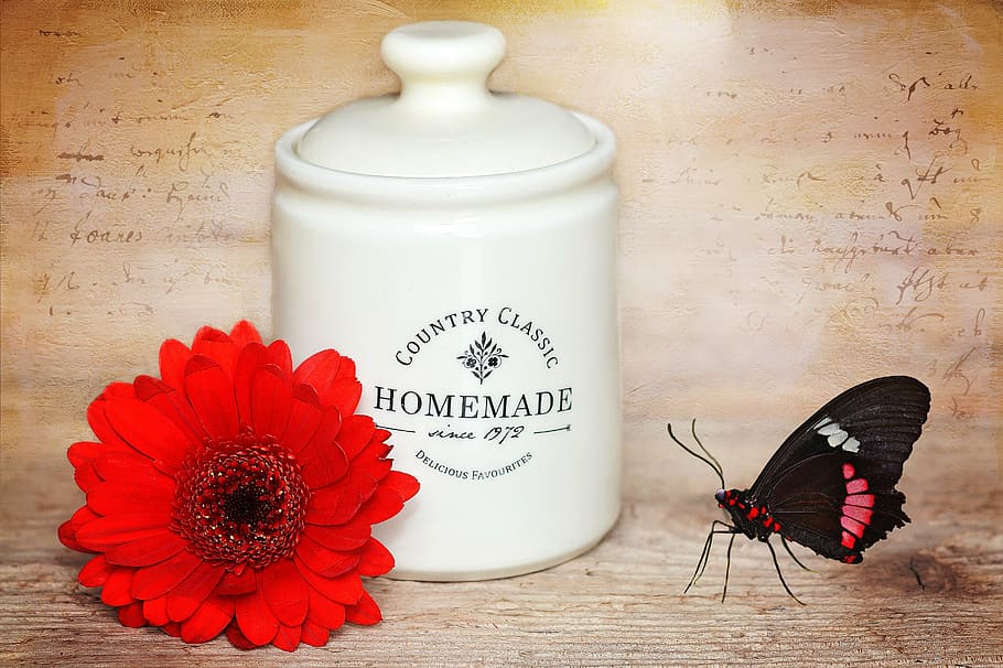 red gerbera faisy beside homemade container and black and red butterfly HD wallpaper