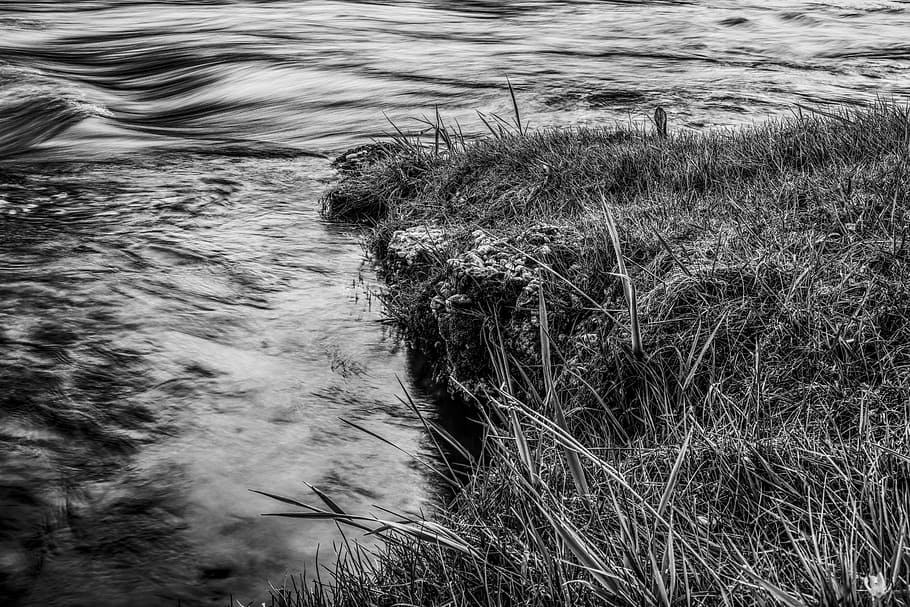dramatic, water, grass, grasses, bank, wave, reflections, shore greenhouse HD wallpaper