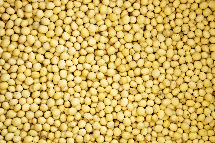 pile of yellow seeds, bean, pattern, texture, nature, grain HD wallpaper