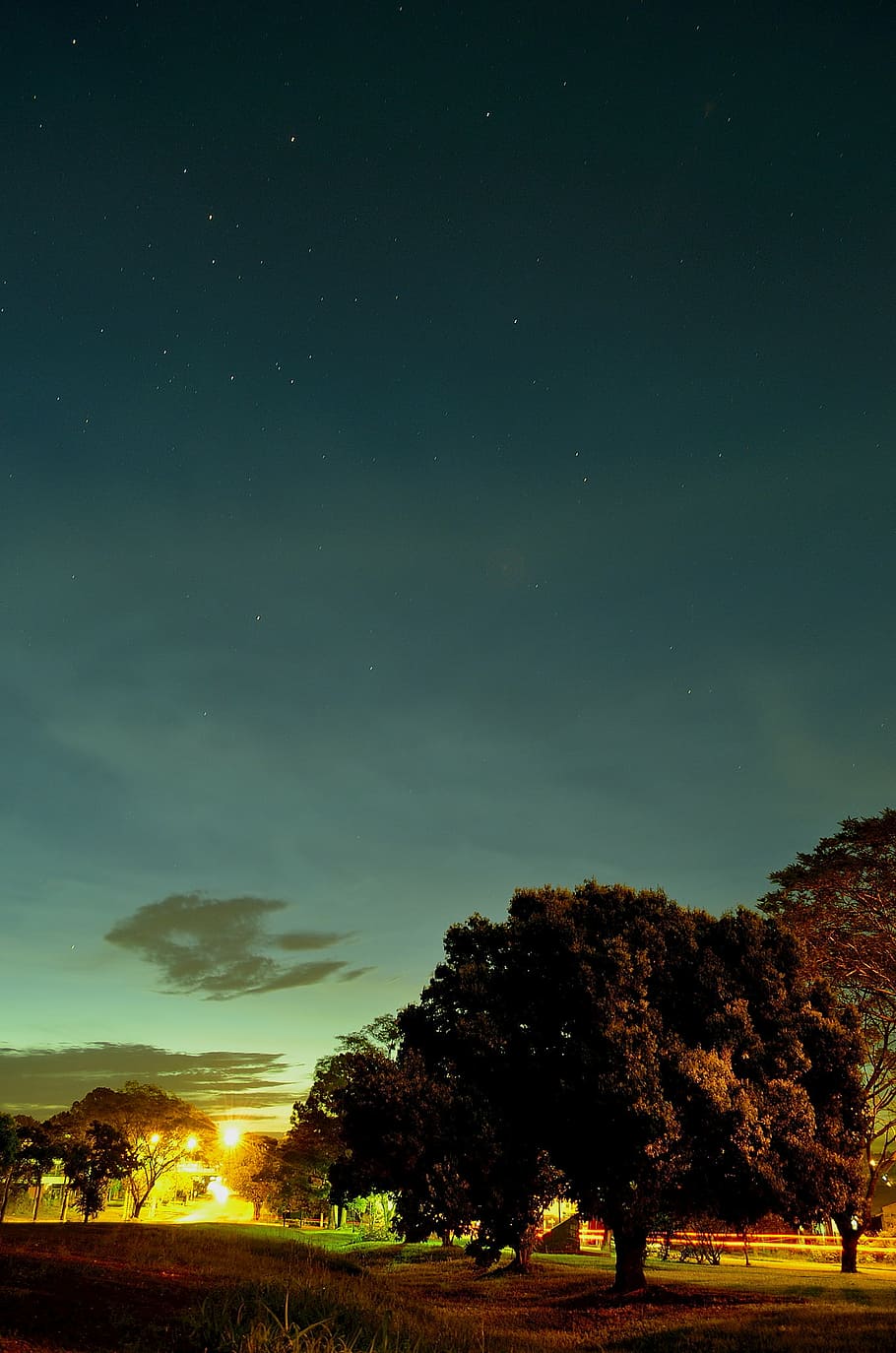 clouds, dawn, dusk, grass, landscape, outdoors, sky, sun, trees HD wallpaper