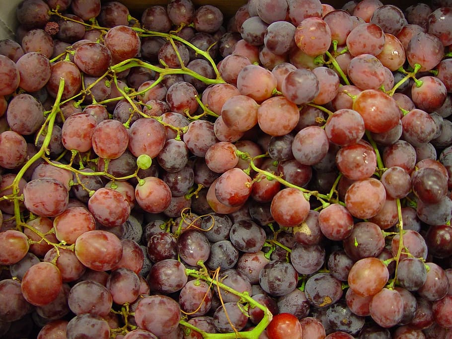 globe, red, fruit, grapes, fruits, plants, flora, food and drink HD wallpaper