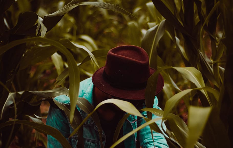 people, denim, jacket, hat, plant, agriculture, field, far HD wallpaper