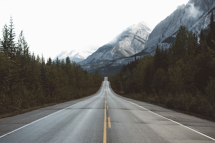 highway road surrounded by pine trees through snow mountains, HD wallpaper