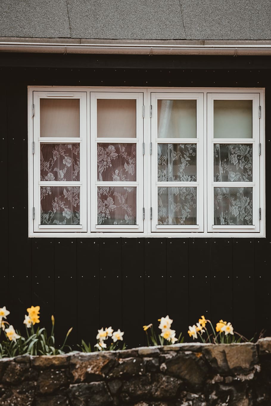 photo of closed windows near flowers, white wooden window frame HD wallpaper