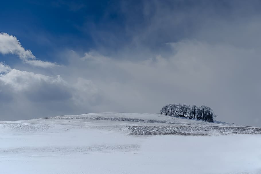 clouds, cold, nature, sky, snow, trees, winter, cold temperature HD wallpaper