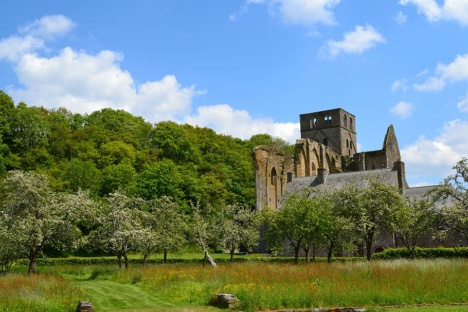 Abbey, Hambye, Normandy, cloud - sky, tree, architecture, history HD wallpaper