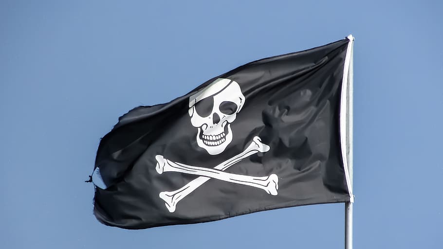 black and white pirates flag photo in daytime, skull, symbol HD wallpaper