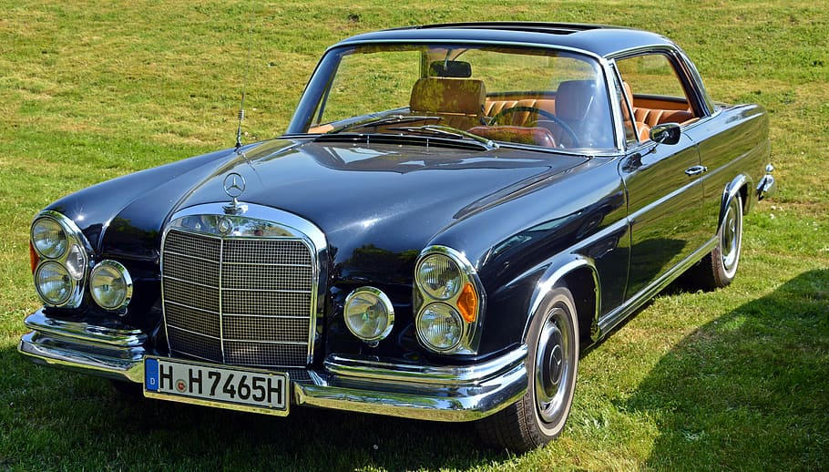 blue Mercedes-Benz coupe on green grass field during daytime
