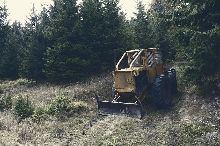 front loader on green grass, yellow payloader near green trees