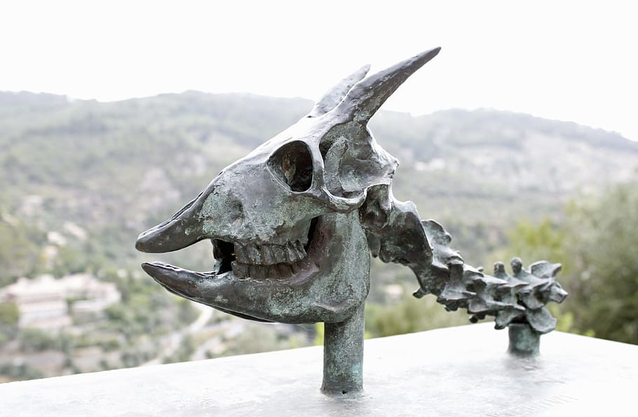 closeup photo of gray skull metal decor, skeleton, skull and crossbones HD wallpaper