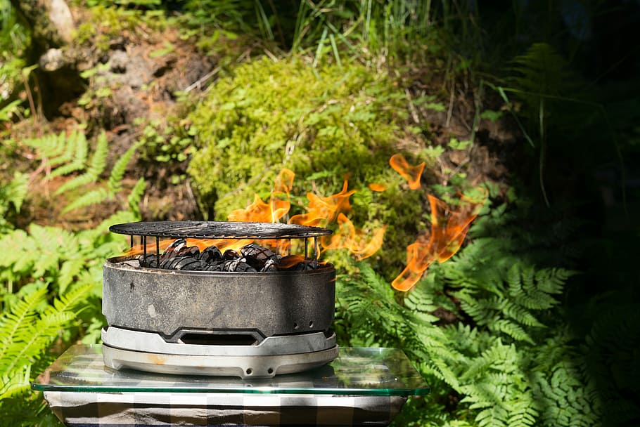 tabletop charcoal grill surrounded by plants, green plants under sunny sky HD wallpaper