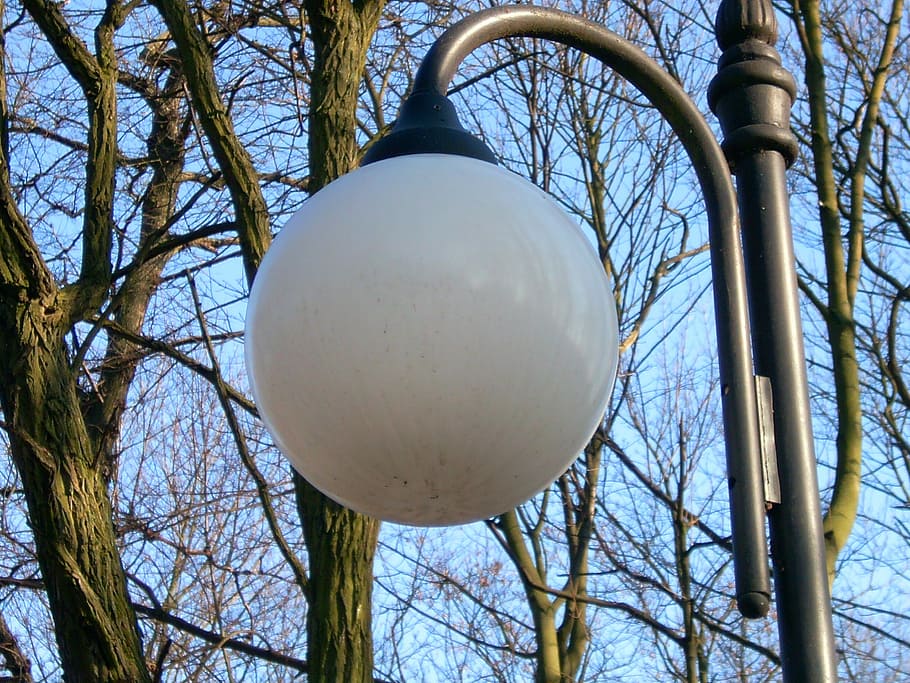 Replacement, Lamp, Light, Lighting, replacement lamp, bare tree HD wallpaper