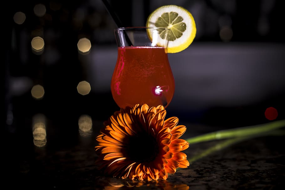 glass, drink, background, flower, freshness, food and drink HD wallpaper