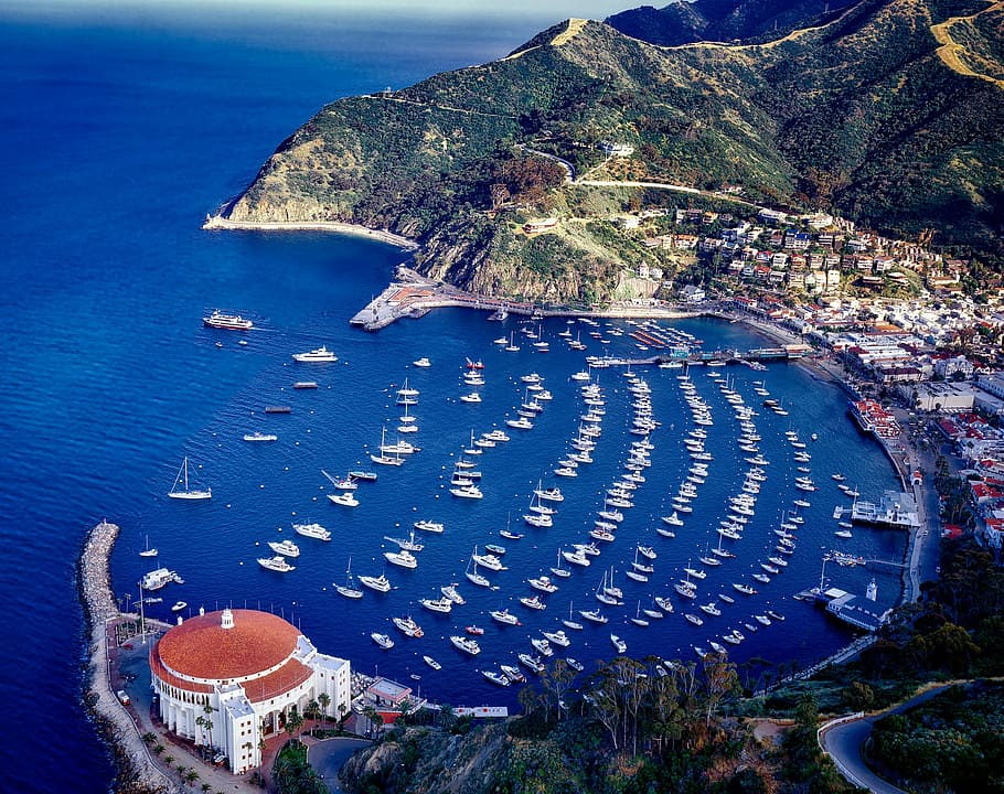Catalina Island, California, Casino, aerial view, pacific, sea, HD wallpaper